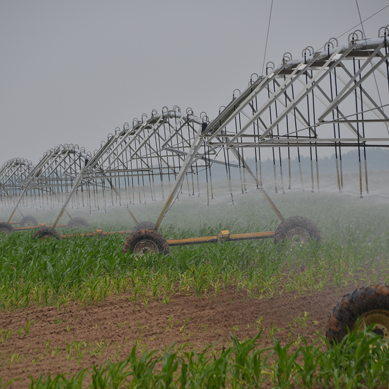 Maximizing Crop Production with Linear Move Irrigation