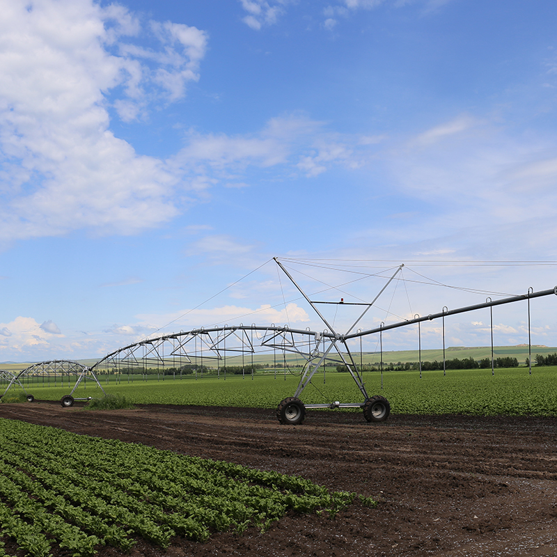 Enhancing Agricultural Productivity with Zimmatic Center Pivot Technology