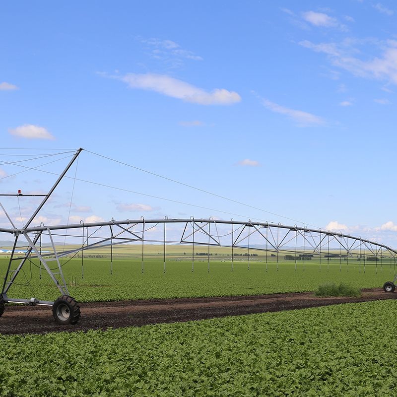Cost-effective maintenance strategies for maximizing the lifespan of a pivot irrigation system