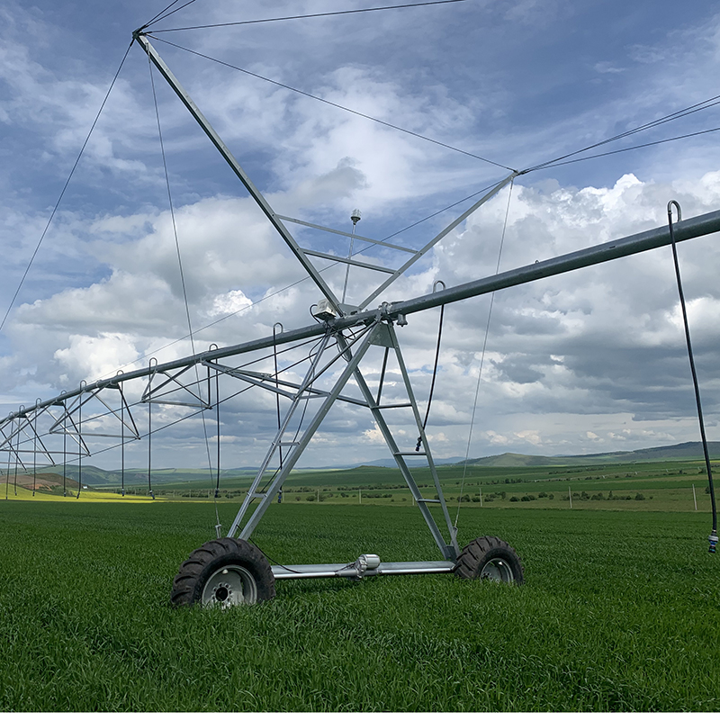 Boosting Crop Yield with Linear Irrigation Systems