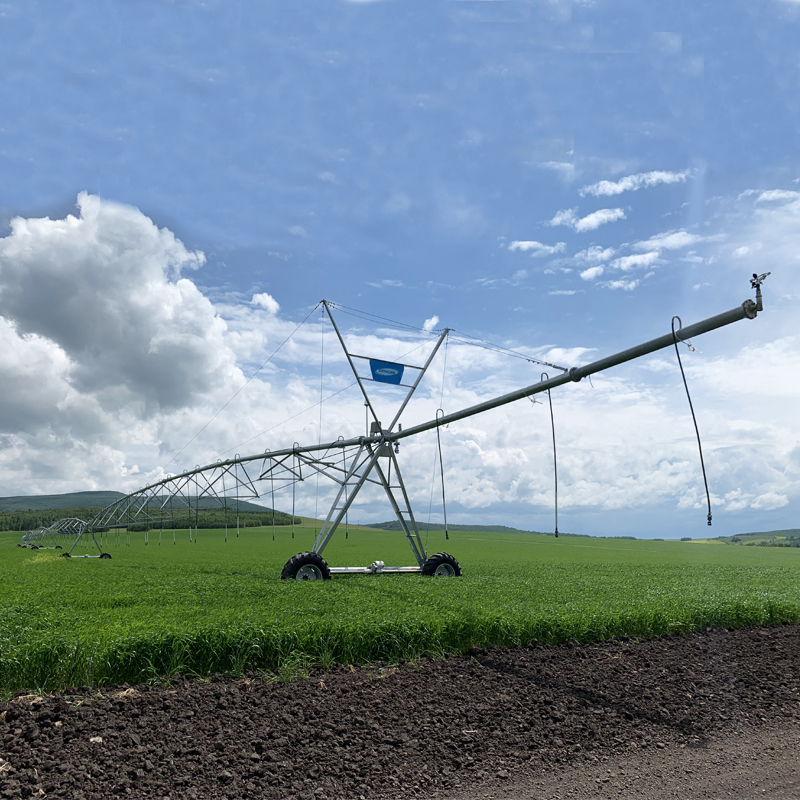 Stay ahead of the competition with cutting-edge technology.