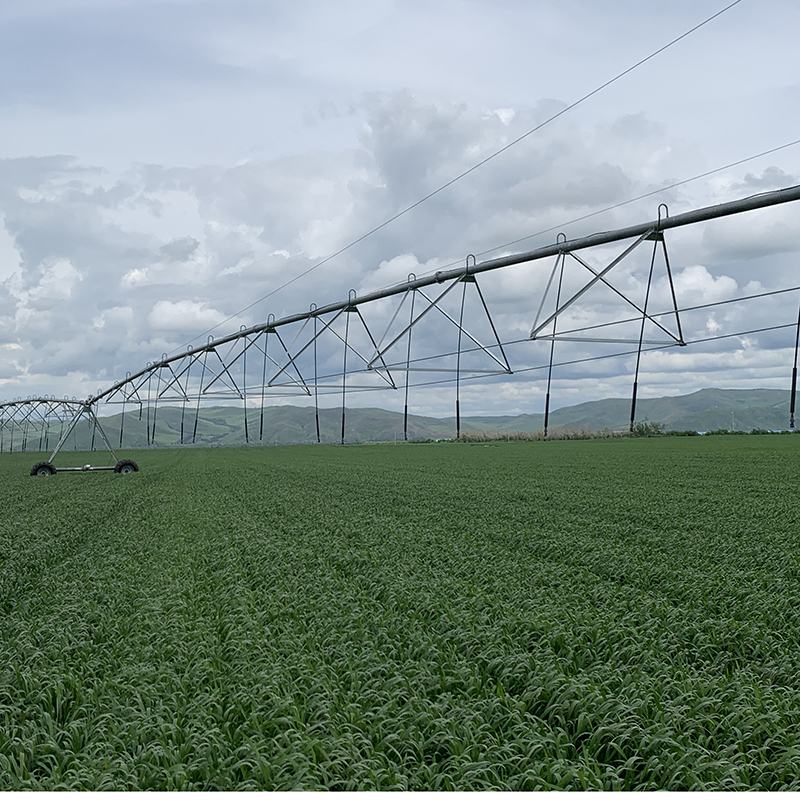 Maximizing Efficiency with Solar-Powered Center Pivot Irrigation Technology