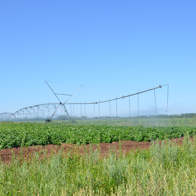 Pratiques agricoles durables avec l'irrigation pivot en agriculture