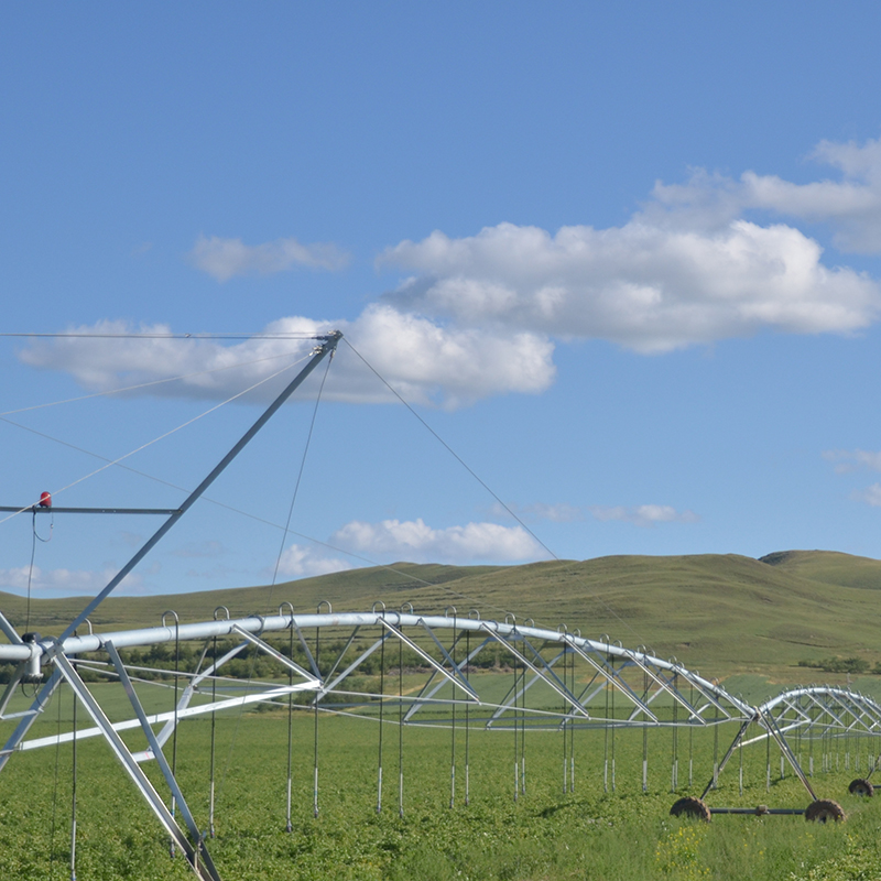 Saving Time and Money with Center Point Irrigation Systems