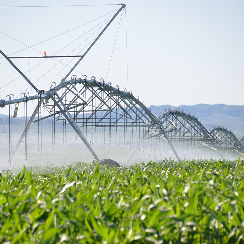 Maximizing crop yields with central pivot irrigation.