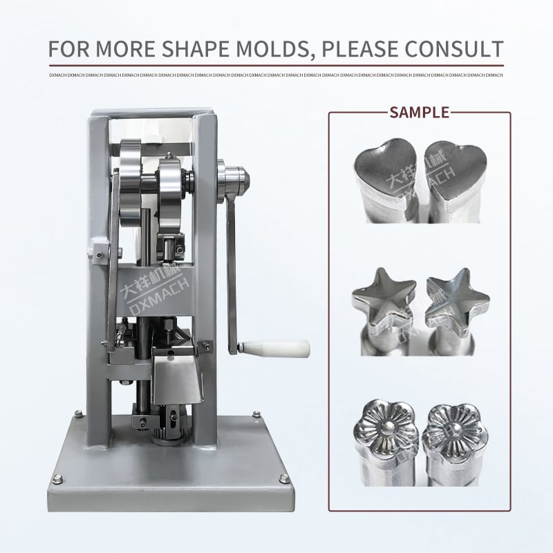 Cost-effective and Versatile Single Rotary Tablet Press for Pharmaceutical Production.