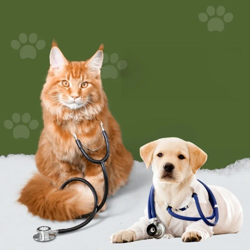 PET CAR PRODUCTS