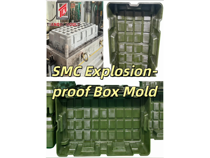 SMC 방폭 박스 금형 최초 시험 성형