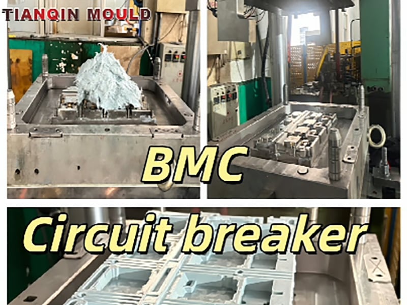 Elektrik Devre Kesicisi için Hassas BMC Kalıp Denemesi