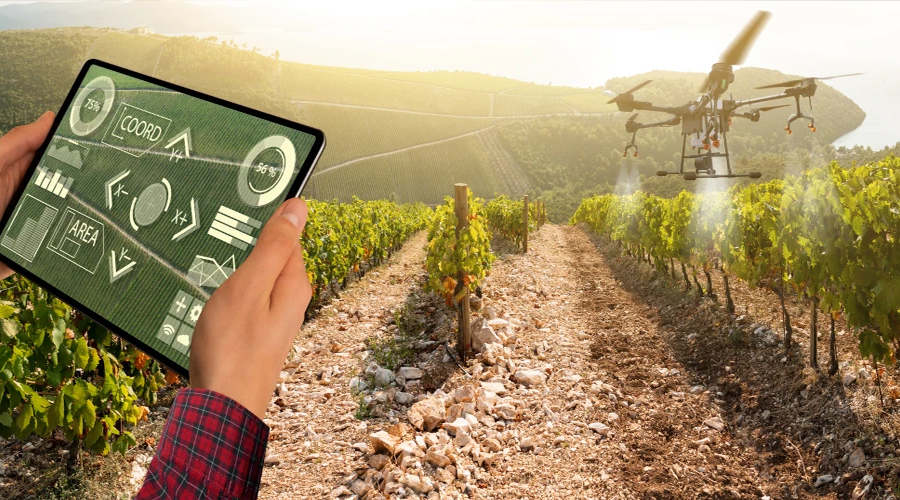 Crop Monitoring and Health Assessment