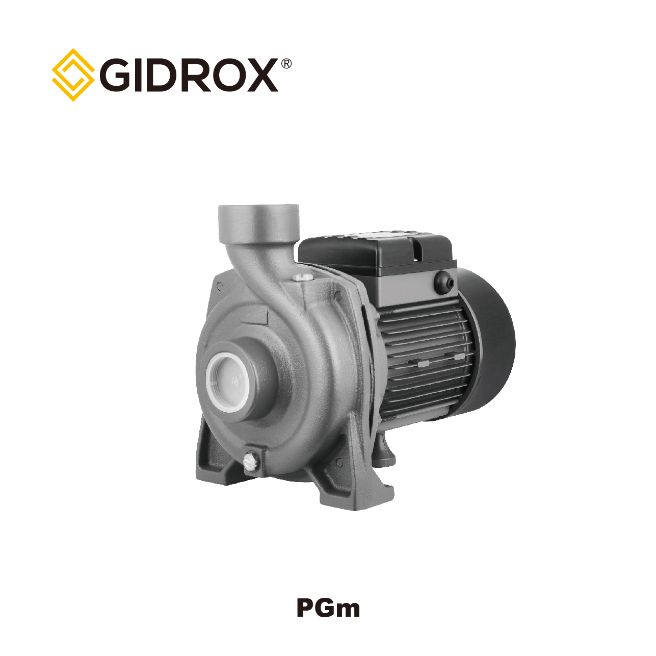 GIDROX CENTRIFUGAL PUMP-PGm