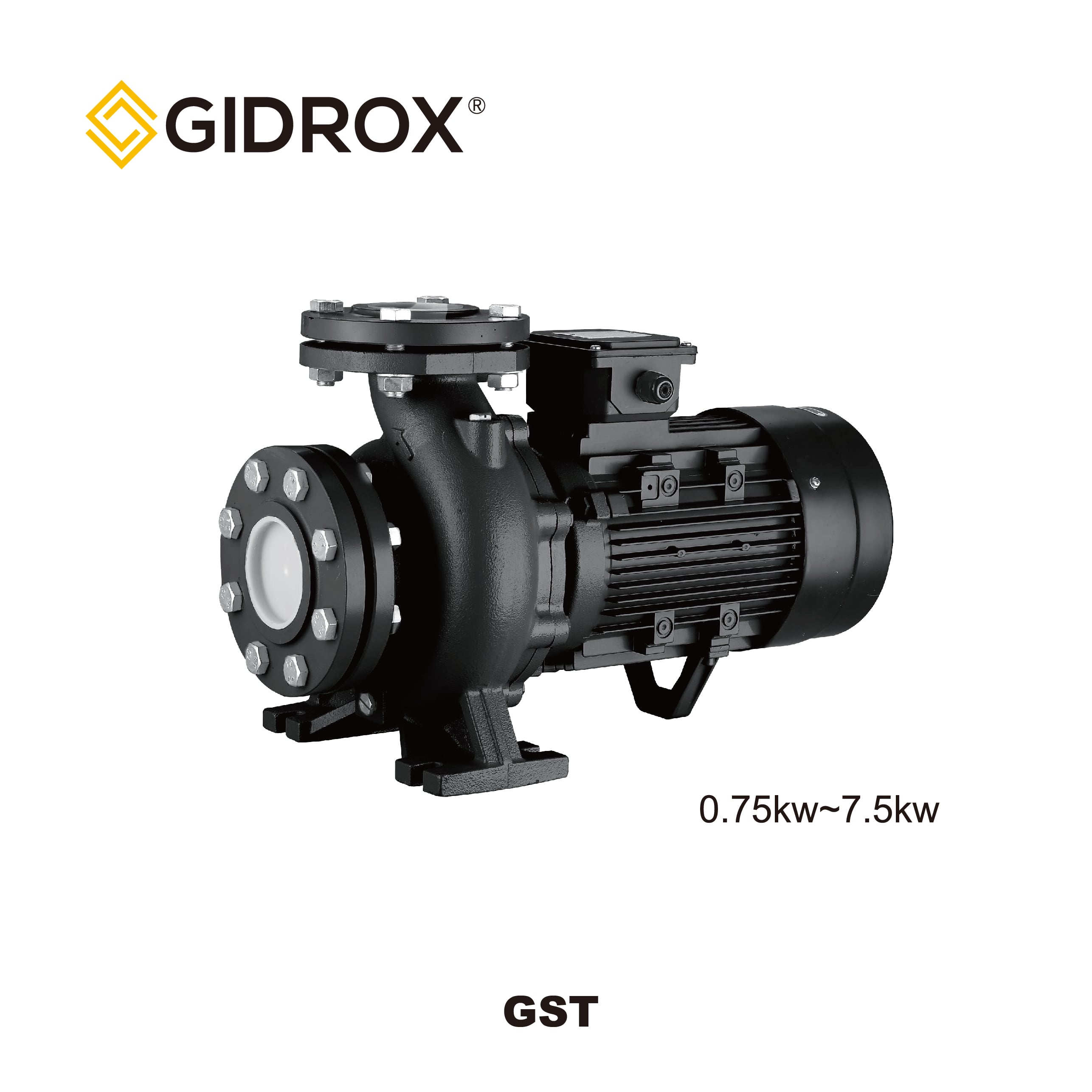 GIDROX СТАНДАРТНЫЙ ЦЕНТРИФУЖНЫЙ НАСОС-GST