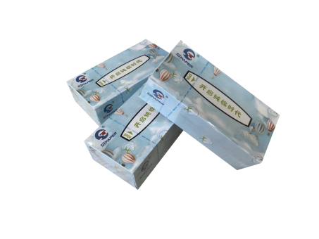 Case Study: Facial Tissue Production Line (Boxed & Soft Pack Tissues)