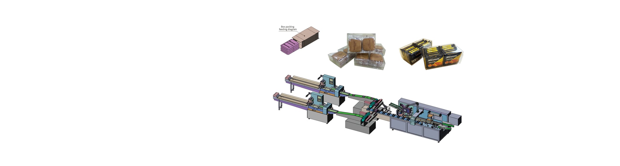 Wenzhou Shengtai Machinery Co., Ltd. | Precision Manufacturing Solutions