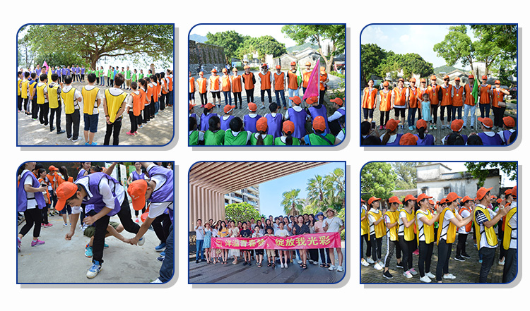 Our Team