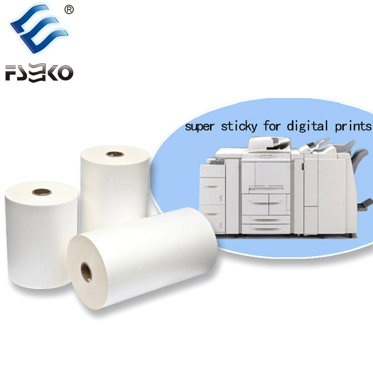 How to Choose Between PET Metalized Film and Hot Sleeking Foil
