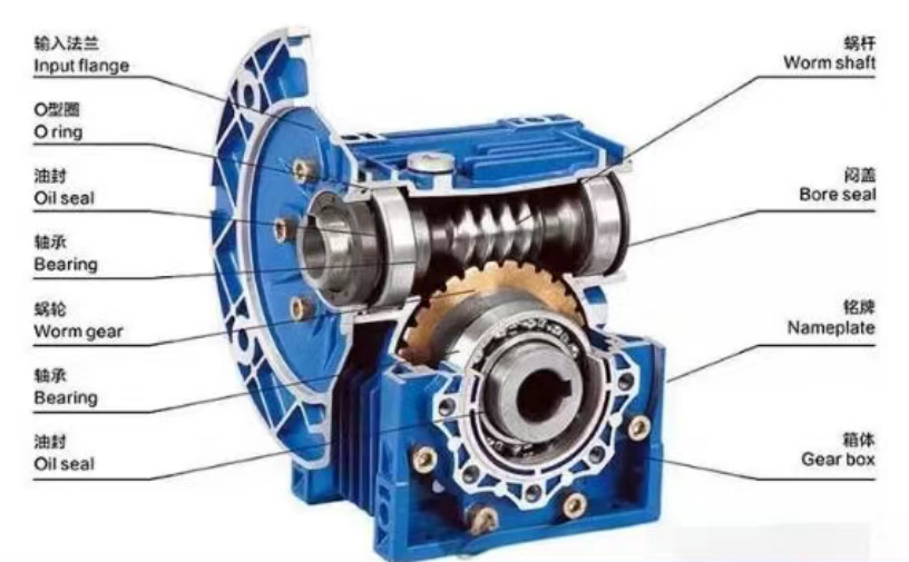 Gear reducer internal structure diagram showing input shaft, driving gear, and output shaft