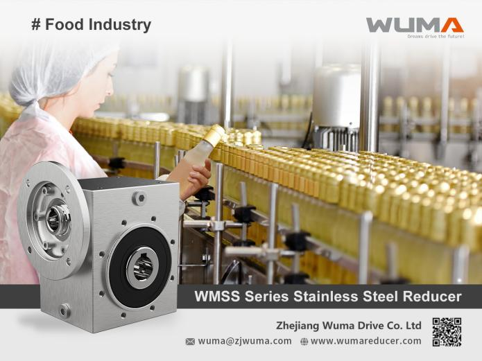 Ensuring Zero Downtime in Food Packaging: WUMA’s Stainless Steel Reducer Bearings Solutions