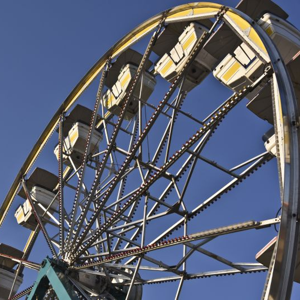 Gear Reducers for Amusement Rides: How Wuma Drive Keeps Theme Parks Running