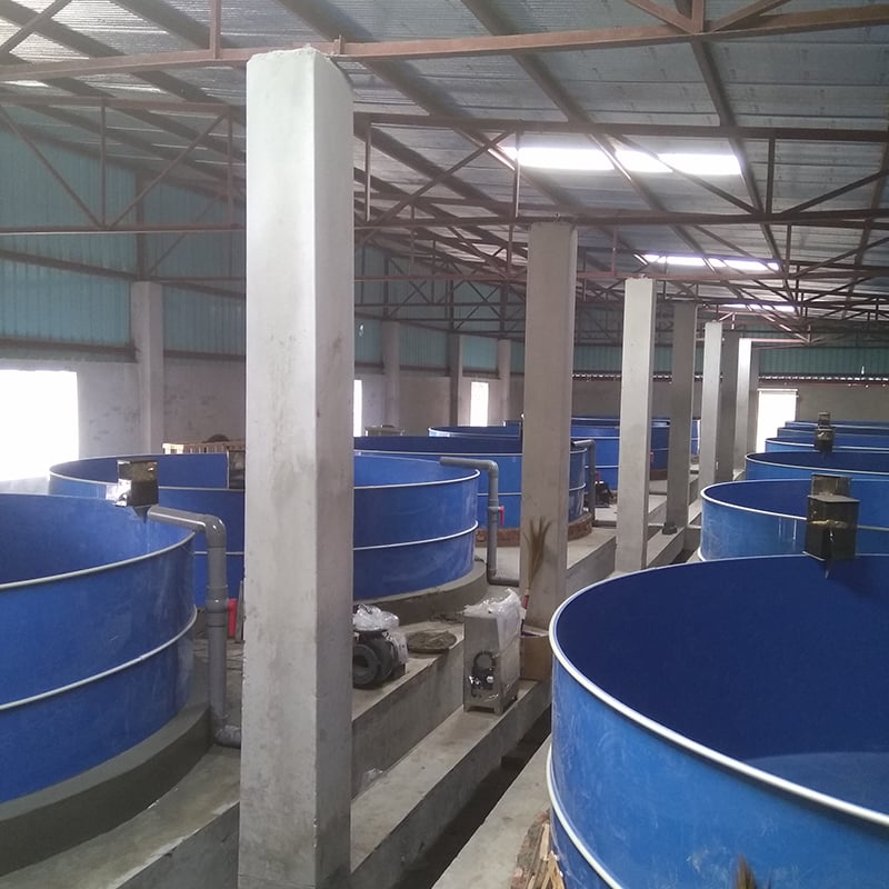 Aquaculture Pools supplier
