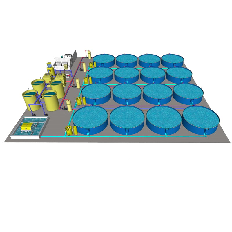 Indoor Aquaculture Fish Farms Equipment System factory