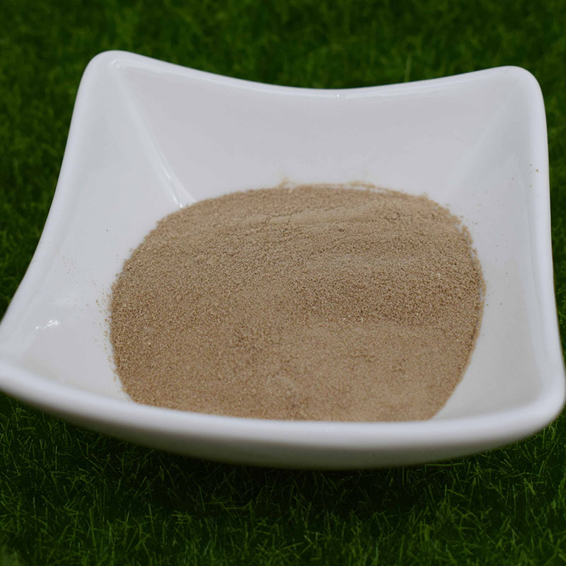 Chuma la Iron Chelated na Amino Acids