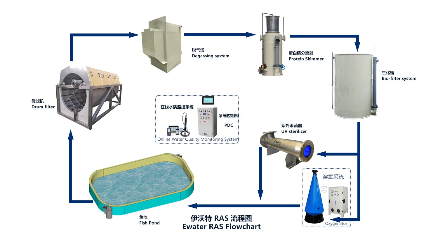 Intensive Indoor RAS Fish Farming Aquaculture PP Tanks/Rotary Drum Filter/Protein Skimmer factory