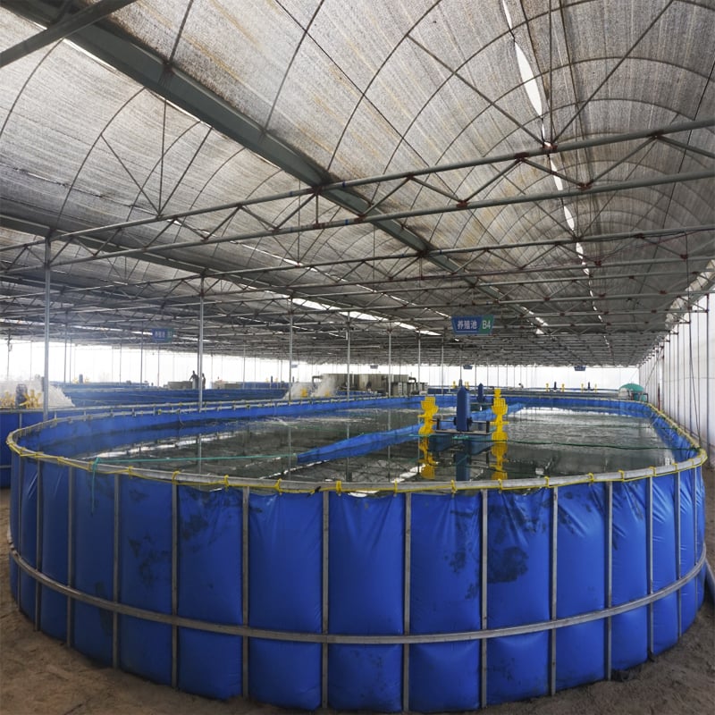 Indoor Aquaculture Fish Farms Equipment System manufacture