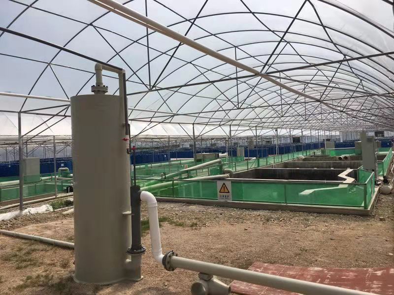 Aquaponics System factory