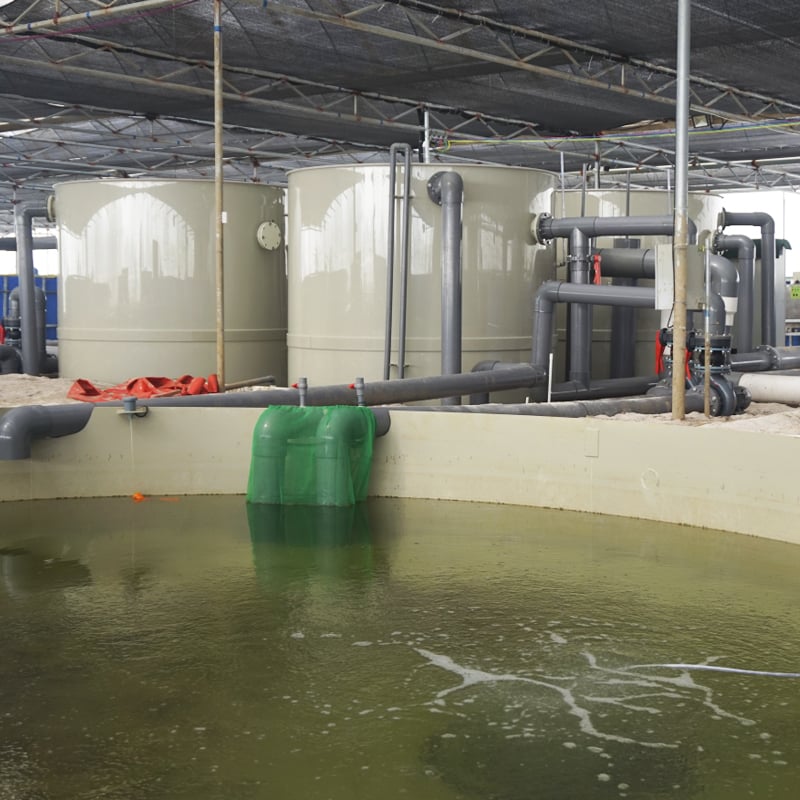 Indoor Aquaculture Fish Farms Equipment System factory
