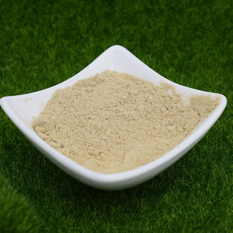 Usio wa Amino Acids