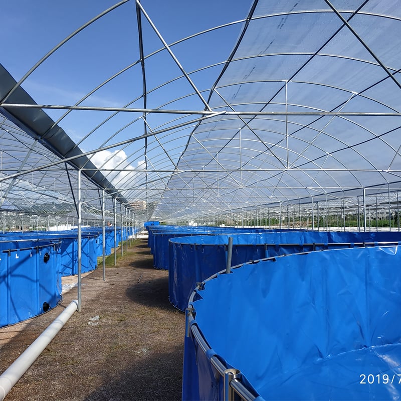 Commercial Aquaponic System and Fish Farming System manufacture