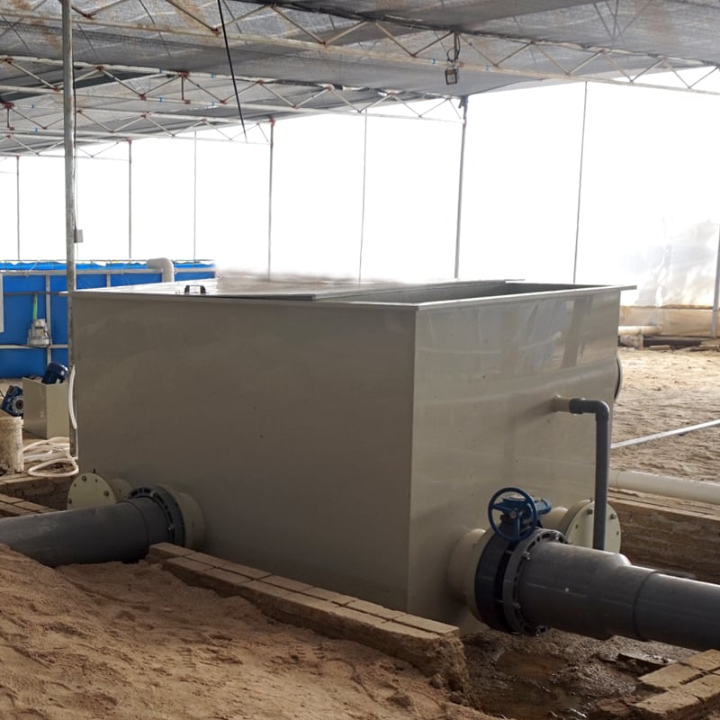 Indoor RAS Recirculating Aquaculture System for Shrimp/Fish Farming supplier