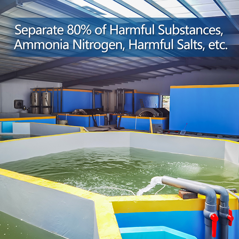 Seawater Fish Protein Skimmer details