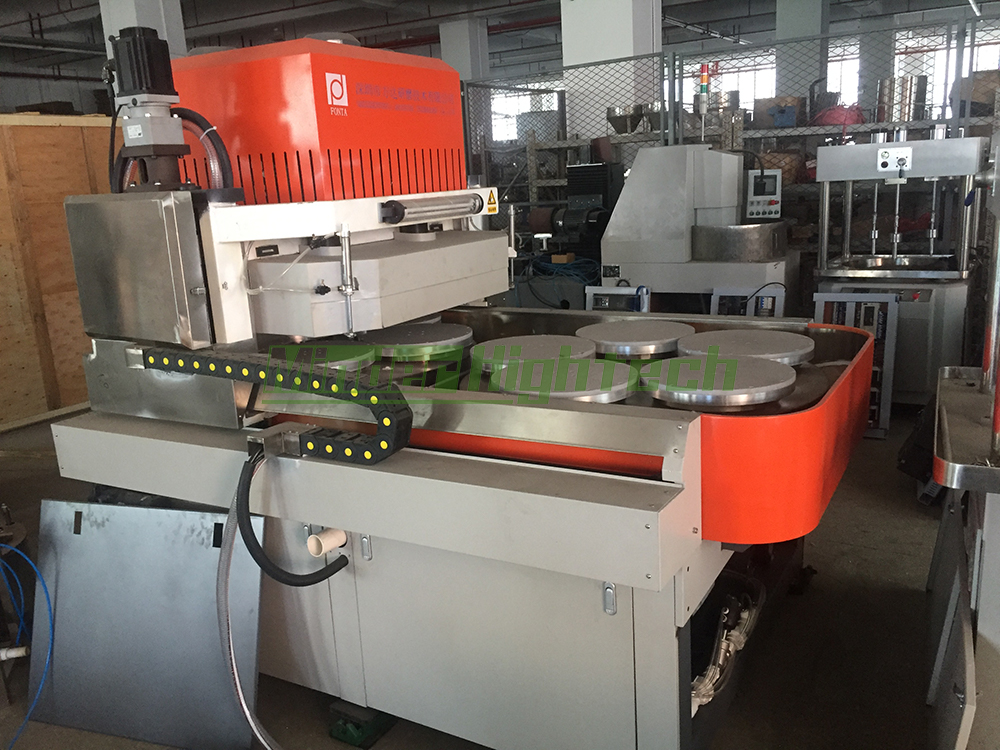 Vertical grinder wafer back grinder MDFD-320 details