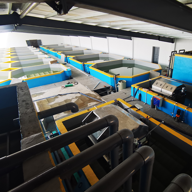 Intensive Recirculating Aquaculture System supplier