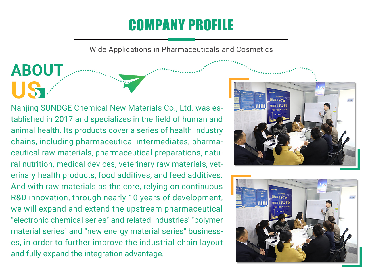 SUNDGE Improved Solubility Model Number CAS 9003-39-8 Polyvinylpyrrolidone PVP K30 Powder details