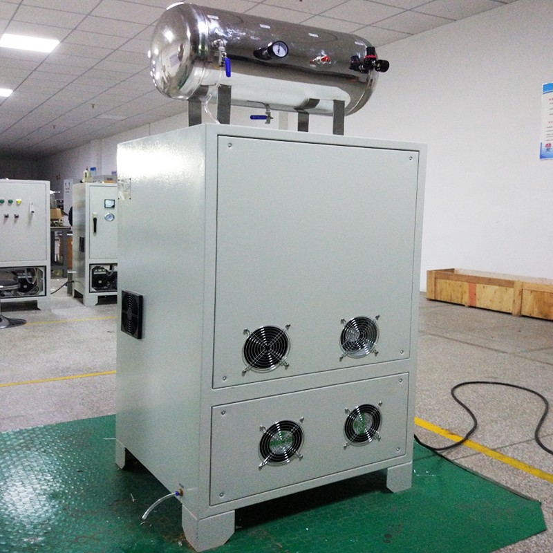 10 LPM Oxygen Concentrator PSA with Tank for Veterinary supplier