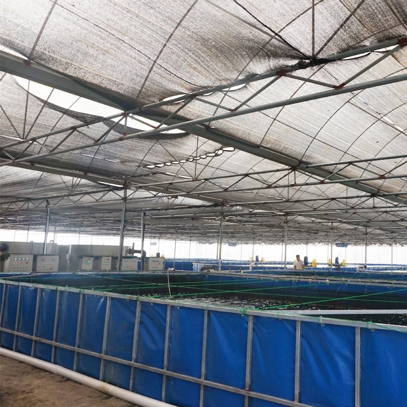 Aquaculture Indoor Farming System factory