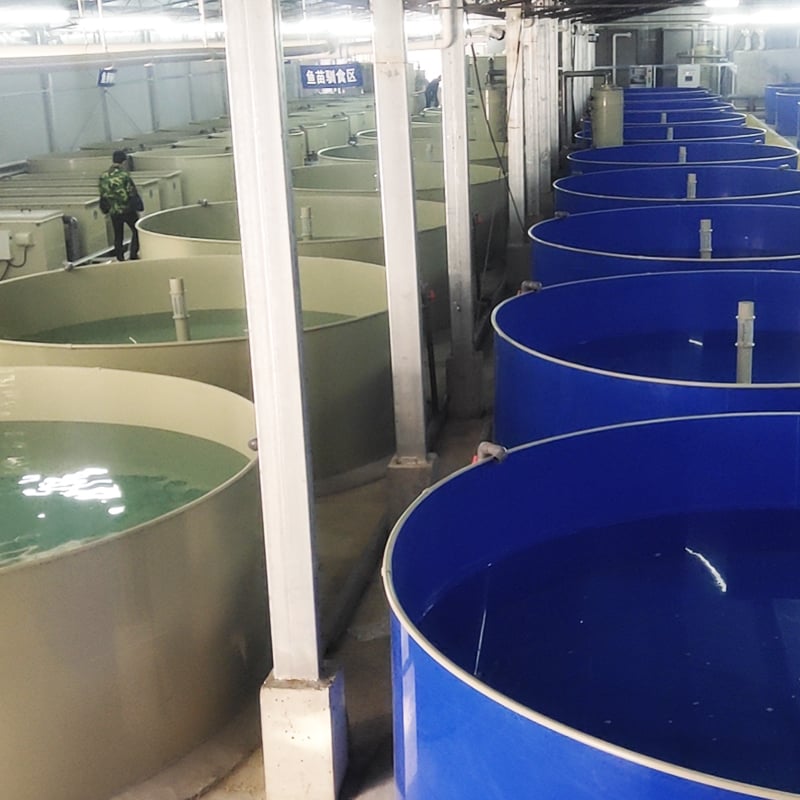 Protein Skimmer for aquafarm supplier