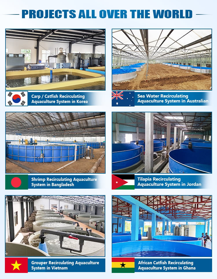 eWater Indoor Fish Farming Aquaculture System Design manufacture