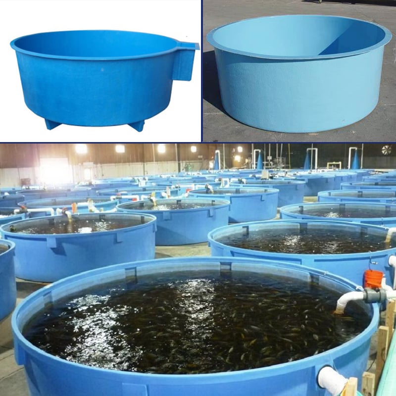 Indoor RAS Shrimp Farming Tanks/Indoor Fish Farming Tanks details