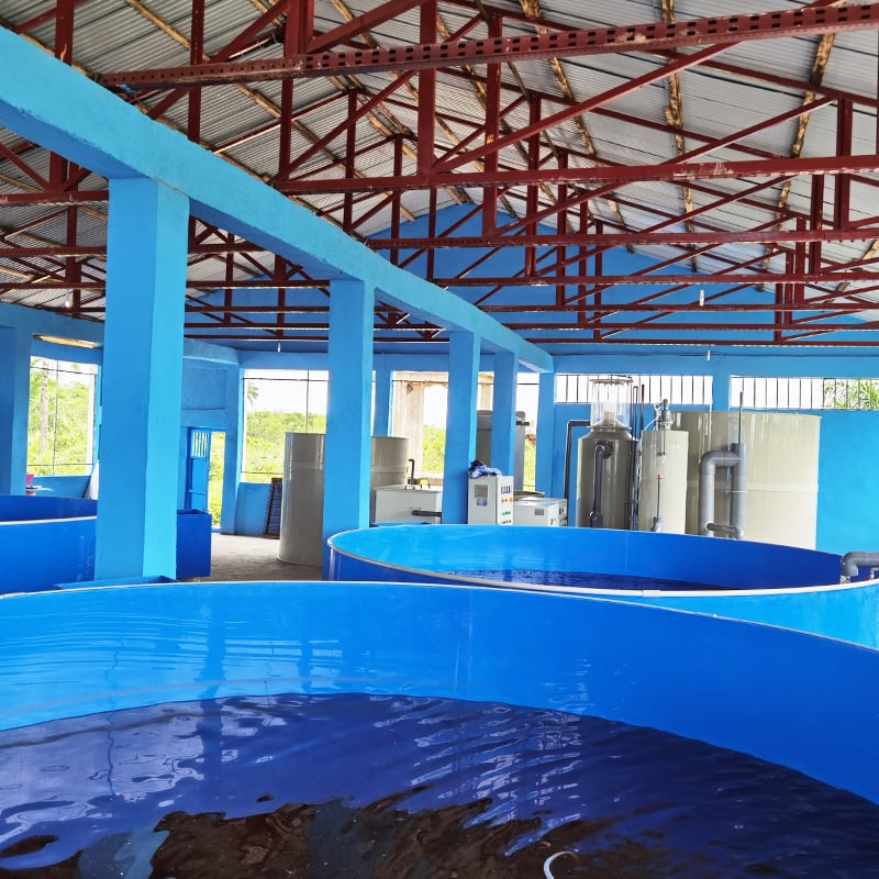 Protein Skimmer for aquafarm manufacture
