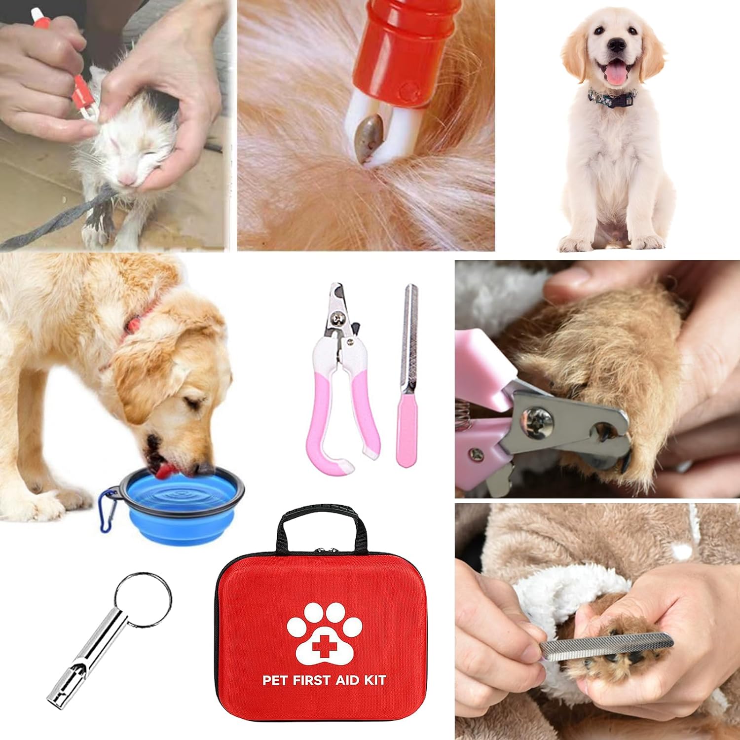 Anthrive Outdoor Portable EVA Waterproof Emergency Dog Cat Pet First Aid Bag Kit For Travel Camping With Medical Supplies factory