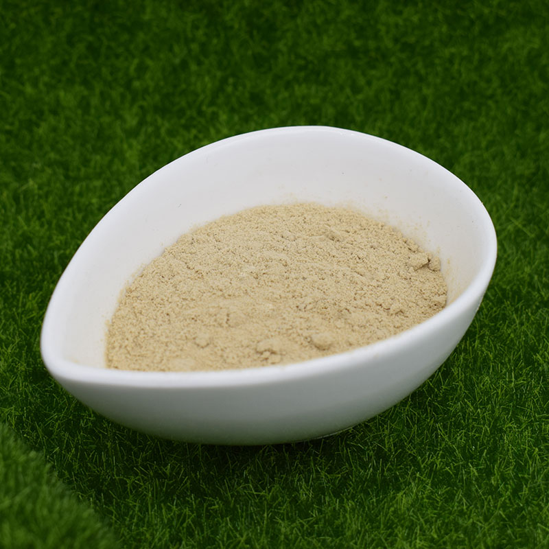 Chuma la Magnesium Chelated na Amino Acids