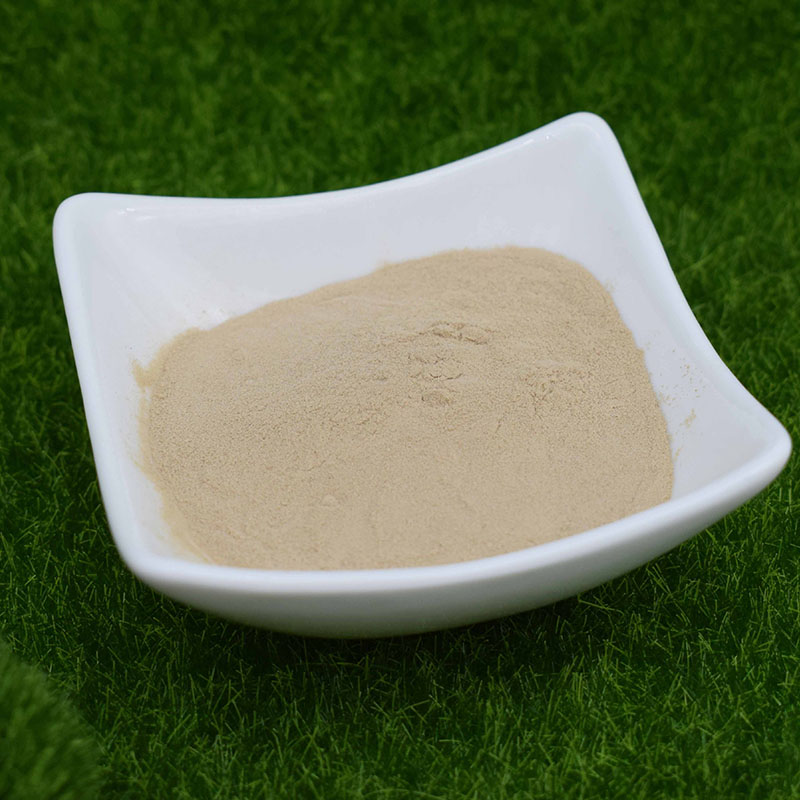 অ্যামিনো এসিড চেলেটেড জিংক