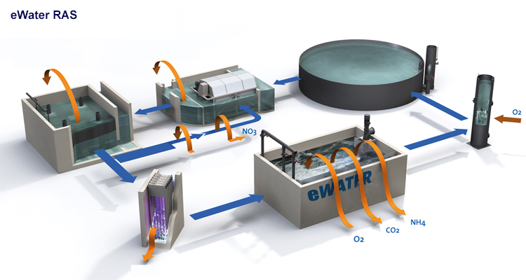 Recirculation Aquaculture System for Fish FArming manufacture
