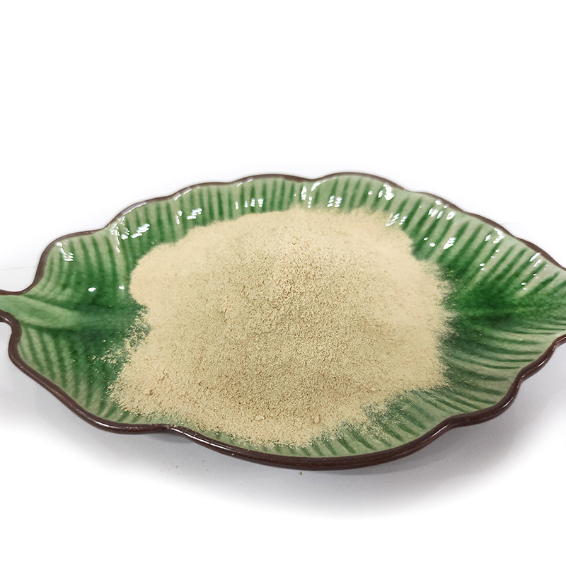 Why fish protein powder should be part of your die