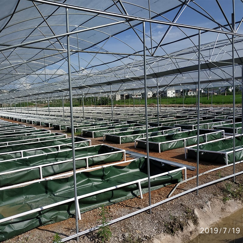 Commercial Aquaponic System and Fish Farming System manufacture