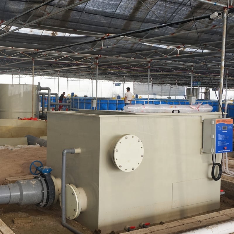 Indoor Aquaculture Fish Farms Equipment System factory